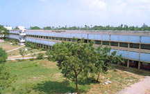 The Gudivada College
